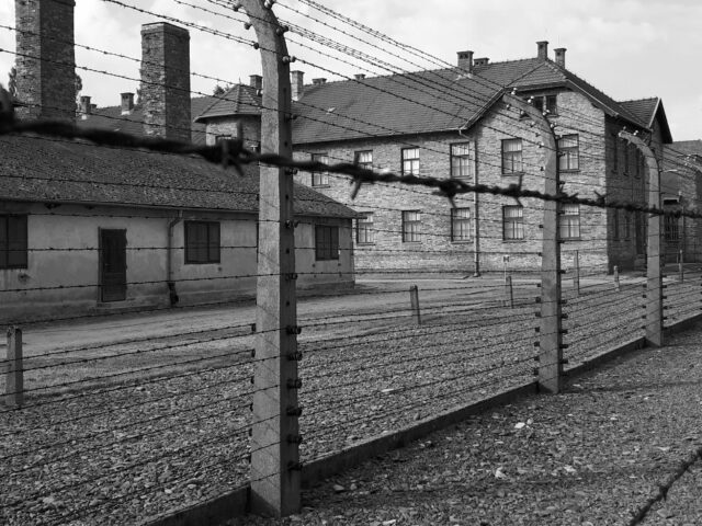 Auschwitz: En krönika över tragedi, minne och hopp