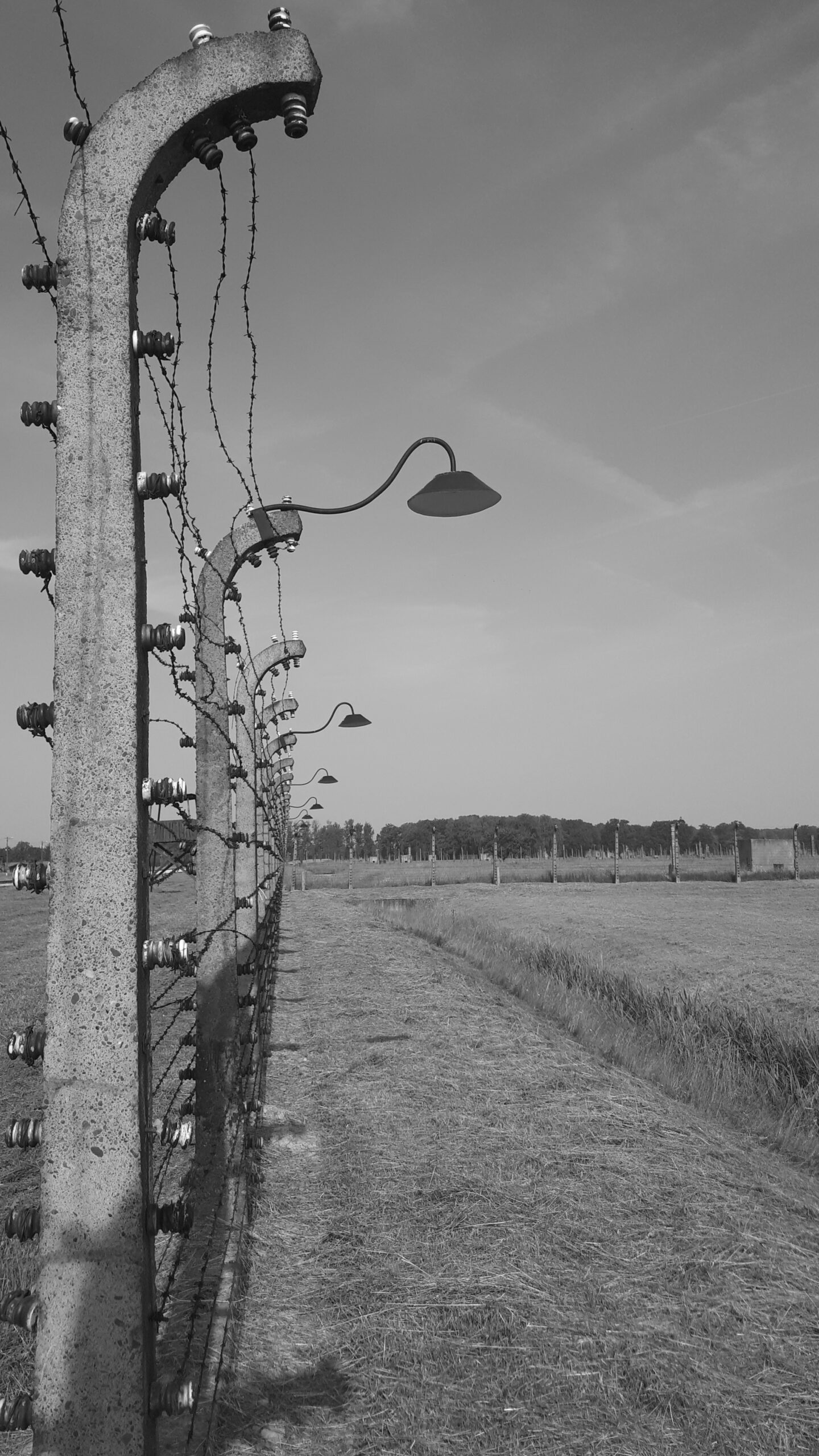 Auschwitz stängsel